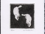 二匹の白い猫 / 銅版画 (作品のみ）の画像