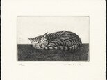 お昼寝の猫 / 銅版画 (作品のみ）の画像
