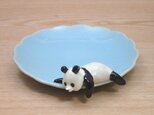 水青爆睡大熊猫輪花小皿−Gの画像