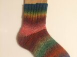 ドイツソックヤーンの手編み靴下【オウム】送料込の画像