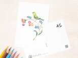 5枚セット。絵本のような。ポストカード "緑の小鳥と草花" PC-38の画像