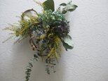 ミモザと紫陽花wreath