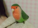 羊毛インコ　コザクラインコ　オレンジフェイス　★クリップから足へ変更作成可　ライフサイズ　受注作成　うちの子オーダー可能　の画像