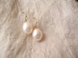 送料無料 真珠のしずくピアス B