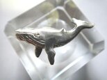 「ザトウクジラ」ピンブローチ