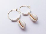 cowrie shell hoop earringsの画像