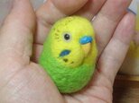 セキセイインコ オパーリン 緑★マグネット/ブローチどちらか選択 羊毛の小鳥 受注作成　羊毛フェルト　鼻の色変更可能の画像