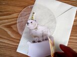 シロクマのスノードームカードの画像