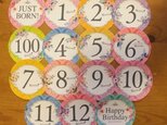 BABYマンスリーステッカー Flower. フォトプロップス