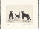 三匹の猫 ・ ファミリー / 銅版画 (作品のみ）の画像