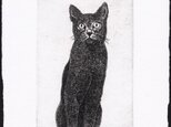 黒い猫・2009/銅版画 (作品のみ）の画像