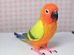 ライフサイズ　コガネメキシコインコ 羊毛フェルト　受注作成　羊毛インコ　うちの子オーダー可　メモリアル　工房小鳥屋さんの画像