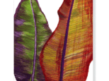 ポストカード　バナナの葉（２枚組）の画像