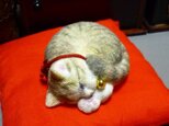 アンモニャイト　キジトラ猫さん 座布団つき　ラビママ様ご予約品の画像