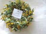 mimosa wreath.yの画像