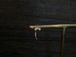 限定一粒・ハグピアス