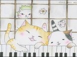猫のポストカード(鍵盤)【楽器ねこシリーズ】の画像