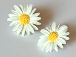 【ドイツ製　大きな　白デイジーの　ピアス】