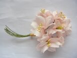 シルクの桜コサージュ（花芯クリーム色）の画像