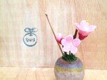 710.bud 粘土の鉢植え サクラ