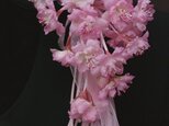 しだれ桜のような華やかなピンクの桜のコサージュ　B-4aの画像