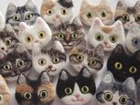 【オーダーメイド】猫顔フェルトブローチの画像