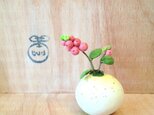 730.bud 粘土の鉢植え スノーベリー