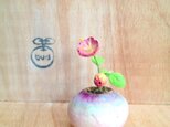 739.bud 粘土の鉢植え 野花の画像
