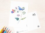 5枚セット。絵本のような。ポストカード "青色の小鳥と草花" PC-71の画像