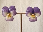 染め花を樹脂加工したビオラピアス( M・紫)の画像