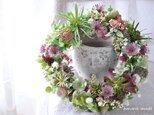 ワインカラーのアストランティとエアプランツ： wreath