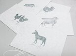 のどかな森の動物達 ポストカード セットの画像