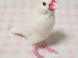 リアルサイズ♪ 白文鳥 羊毛フェルト☆クチバシの色相談可能 受注作成　うちの子オーダー可能　メモリアルの画像