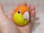 シロハラインコ☆マグネット/ブローチどちらか選択 受注作成　羊毛フェルト　羊毛インコ　メモリアル　工房小鳥屋さん