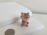 お散歩猫さん（キジトラ）の画像