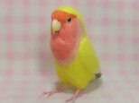 ライフサイズ♪ コザクラインコ チェリー系イエロー 羊毛フェルト　受注作成　羊毛インコ　メモリアル　リアル　うちの子オーダー可能の画像