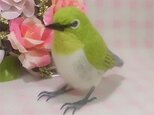 リアルサイズ♪メジロ　目白　野鳥　羊毛フェルト　受注作成　羊毛フィギュア　羊毛インコ　ライフサイズ　 工房小鳥屋さん