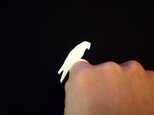 bird pinky ring　[オウム]の画像