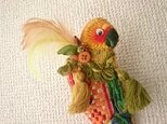IRODORI AZ ゴシキメキシコインコの画像