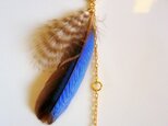 skyblue featherの画像