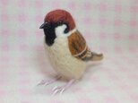 リアルサイズ♪ スズメ　雀 羊毛フェルト　野鳥　受注作成　羊毛インコ　メモリアル　工房小鳥屋さん