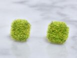 小さいモフモフ芝生のピアス(スクエア型)の画像