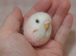 セキセイインコ 夢色♪ピンク 羊毛の小鳥　マグネット/ブローチどちらか選択 受注作成　羊毛フェルト　羊毛インコの画像