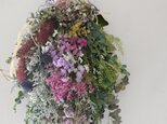 ブラシの花とラナンキュラスのリースの画像