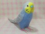 リアルサイズ♪ セキセイインコ レインボーライラック 羊毛フェルト☆選べる鼻の色　受注作成　羊毛インコ　ライフサイズの画像