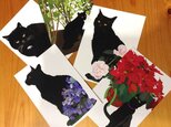 黒猫ポストカード５枚セットの画像