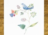 絵のある暮らし。アートプリント "青色の小鳥と草花" AP-71の画像