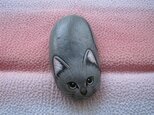 石猫  「ロシアンブルー」の画像