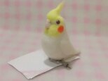 オカメインコ ルチノー（赤目） mini♪☆マグネット/ブローチどちらか選択 羊毛フェルト　受注作成の画像