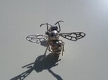 スズメバチの画像